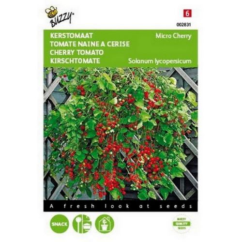 Buzzy® Kerstomaat Micro Cherry - afbeelding 1