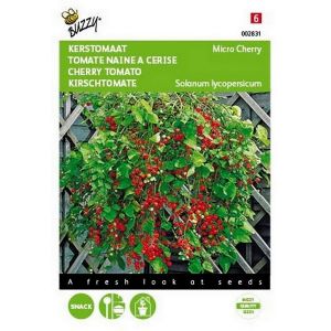 Buzzy® Kerstomaat Micro Cherry - afbeelding 3