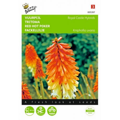 Buzzy® Kniphofia, Vuurpijl Royal Castle Hybrids - afbeelding 1