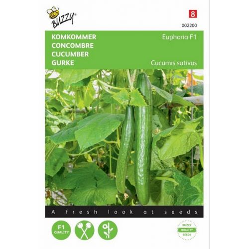Buzzy® Komkommer Euphoria F1 - afbeelding 1