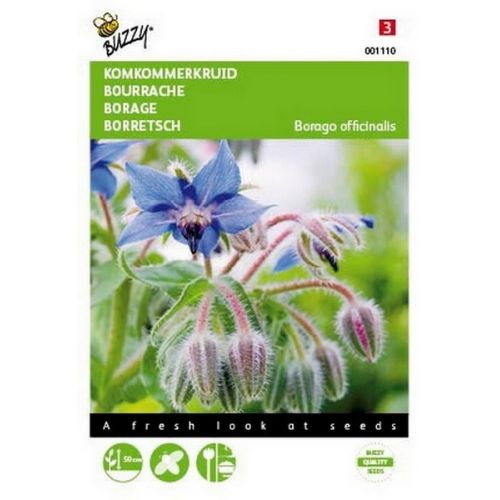 Buzzy® Komkommerkruid (Borage) - afbeelding 1