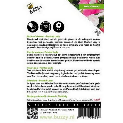 Buzzy® Lathyrus, Reuk- of siererwt Painted Lady - afbeelding 2