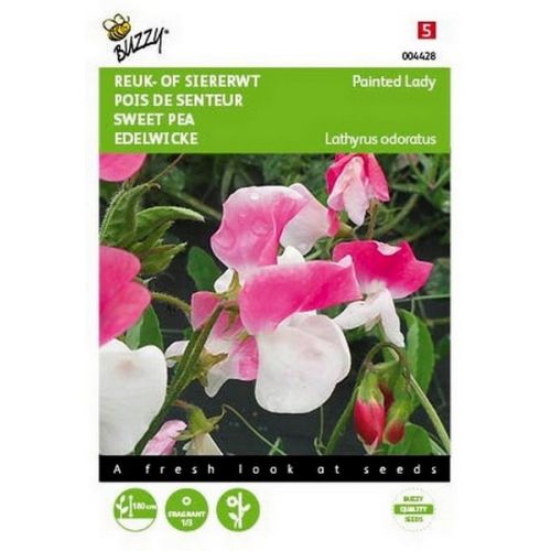 Buzzy® Lathyrus, Reuk- of siererwt Painted Lady - afbeelding 1
