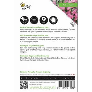 Buzzy® Lathyrus, Reuk- of siererwt Royal Family roze - afbeelding 2