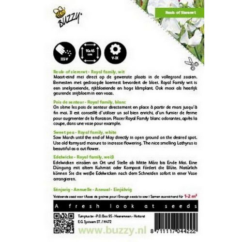Buzzy® Lathyrus, Reuk- of siererwt Royal Family Wit - afbeelding 2