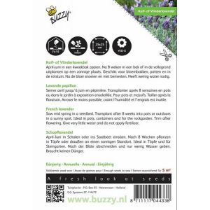 Buzzy® Lavandula, Kuif- of Vlinderlavendel - afbeelding 2