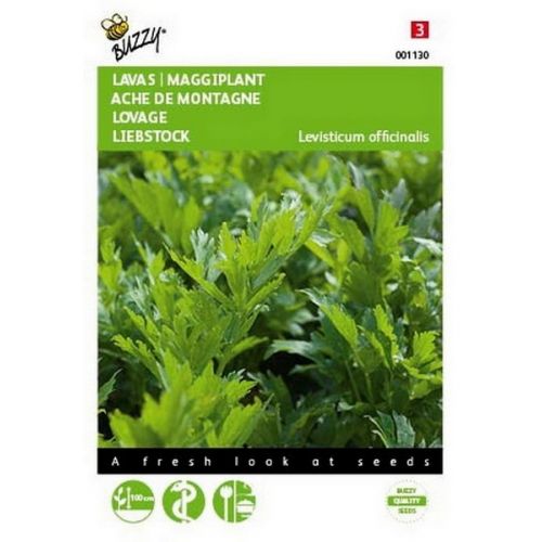 Buzzy® Lavas (Maggiplant) - afbeelding 1