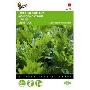 Buzzy® Lavas (Maggiplant) - afbeelding 1