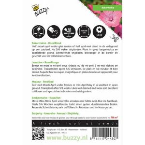 Buzzy® Lavatera, Bekermalva Roze/Rood - afbeelding 2