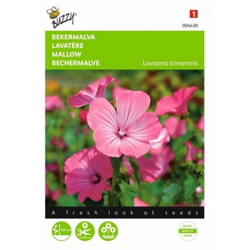 Buzzy® Lavatera, Bekermalva Roze/Rood - afbeelding 1
