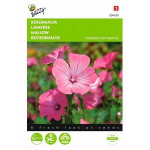 Buzzy® Lavatera, Bekermalva Roze/Rood - afbeelding 1