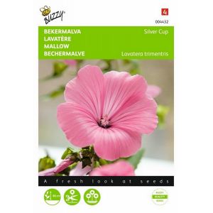 Buzzy® Lavatera, Bekermalva Silver Cup - afbeelding 1