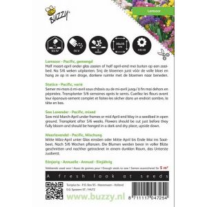 Buzzy® Limonium, Lamsoor Pacific gemengd - afbeelding 2