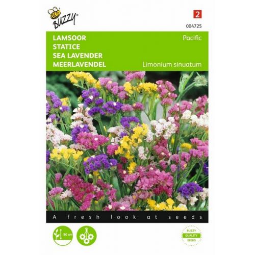 Buzzy® Limonium, Lamsoor Pacific gemengd - afbeelding 1