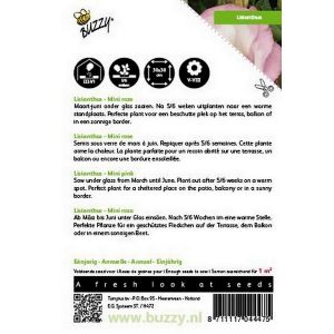 Buzzy® Lisianthus mini roze - afbeelding 2