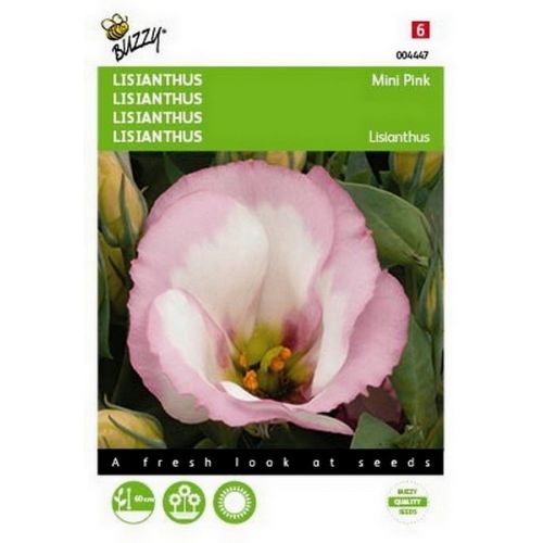 Buzzy® Lisianthus mini roze - afbeelding 1