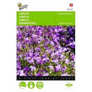 Buzzy® Lobelia Crystal Palace - afbeelding 1