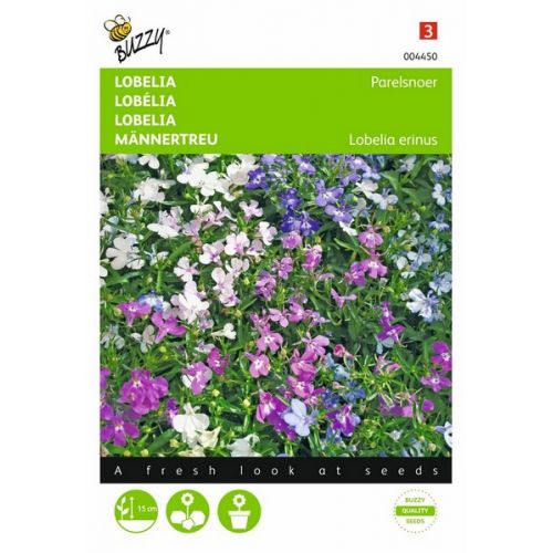 Buzzy® Lobelia Parelsnoer gemengd - afbeelding 1