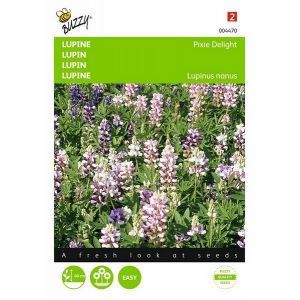 Buzzy® Lupinus, Lupine Pixie DeligHortitops gemengd - afbeelding 1