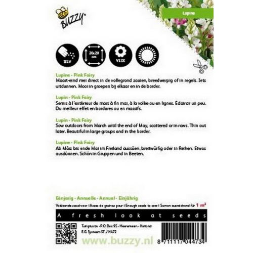 Buzzy® Lupinus, Lupine Rose laag Pink Fairy - afbeelding 2