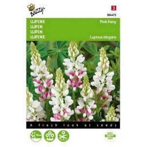 Buzzy® Lupinus, Lupine Rose laag Pink Fairy - afbeelding 1