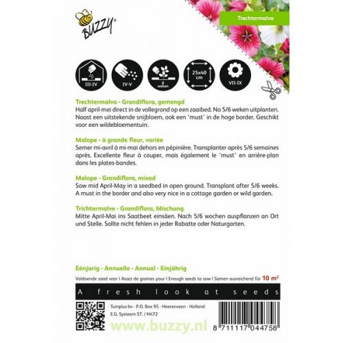 Buzzy® Malope, TrecHortitopsermalva Grandiflora gemengd - afbeelding 2