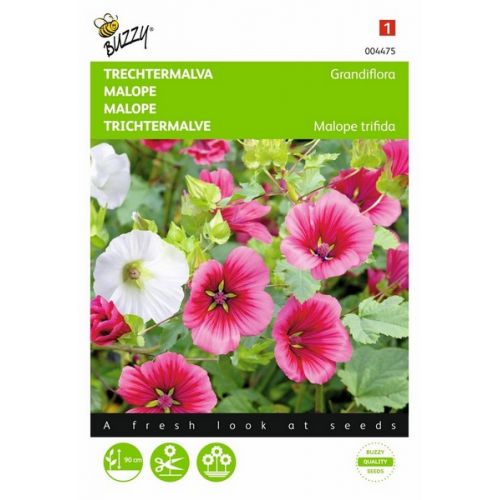 Buzzy® Malope, TrecHortitopsermalva Grandiflora gemengd - afbeelding 1