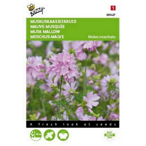 Buzzy® Malva, Muskus Kaasjeskruid roze - afbeelding 1