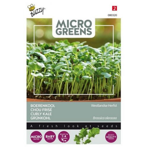 Buzzy® Microgreens Boerenkool - afbeelding 1