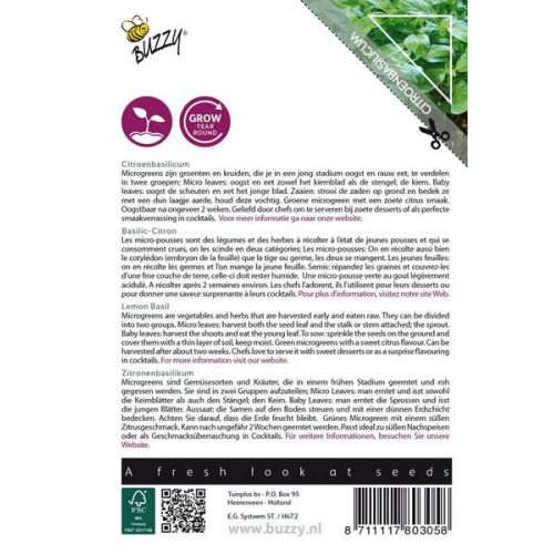 Buzzy® Microgreens Citroenbasilicum - afbeelding 2