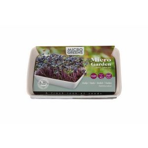 Buzzy® Microgreens Dish Daikon Radijs (6) - afbeelding 6