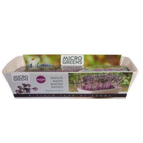 Buzzy® Microgreens Dish Daikon Radijs (6) - afbeelding 5