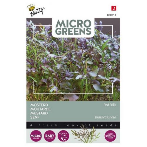 Buzzy® Microgreens Mosterd Red Frills - afbeelding 1