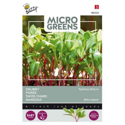 Buzzy® Microgreens Snijbiet gemengd - afbeelding 1