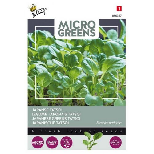 Buzzy® Microgreens Tatsoi - afbeelding 1