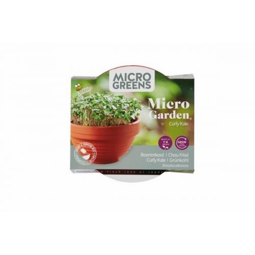 Buzzy® Microgreens Terra Schaaltje Boerenkool - afbeelding 1