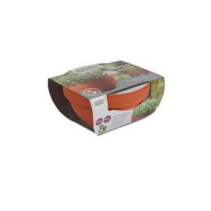 Buzzy® Microgreens Terra Schaaltje Boerenkool - afbeelding 4