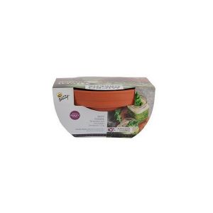 Buzzy® Microgreens Terra Schaaltje Boerenkool - afbeelding 5