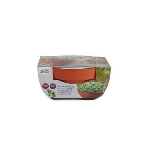 Buzzy® Microgreens Terra Schaaltje Boerenkool - afbeelding 2