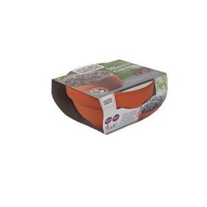 Buzzy® Microgreens Terra Schaaltje Rode Mizuna - afbeelding 5