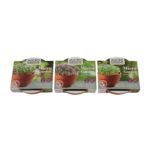 Buzzy® Microgreens Terra Schaaltje Rode Mizuna - afbeelding 7