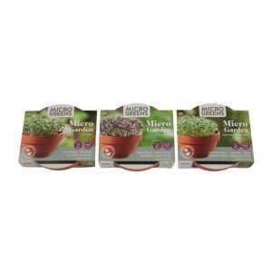 Buzzy® Microgreens Terra Schaaltje Rode Mizuna - afbeelding 7