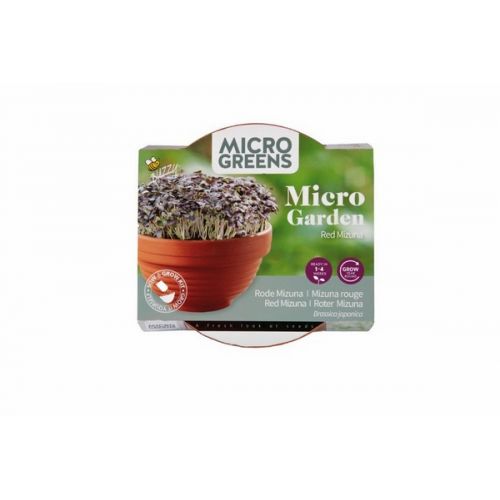 Buzzy® Microgreens Terra Schaaltje Rode Mizuna - afbeelding 2