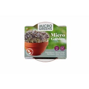 Buzzy® Microgreens Terra Schaaltje Rode Mizuna - afbeelding 2