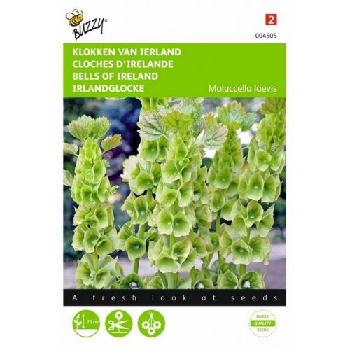 Buzzy® Molucella, Klokken van Ierland - afbeelding 1