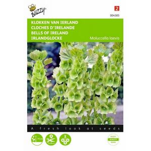 Buzzy® Molucella, Klokken van Ierland - afbeelding 1