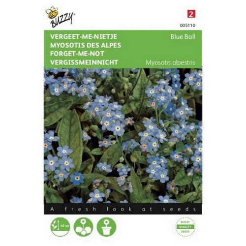 Buzzy® Myosotis, 'vergeet-me-nietje' blauw - afbeelding 1