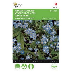 Buzzy® Myosotis, 'vergeet-me-nietje' blauw - afbeelding 1