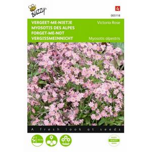 Buzzy® Myosotis, 'vergeet-me-nietje' Victoria Rose - afbeelding 1