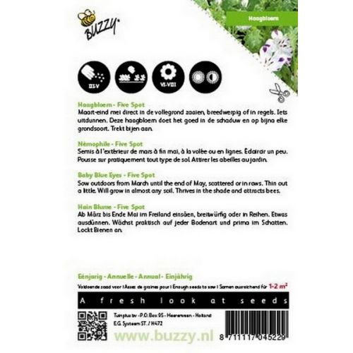Buzzy® Nemophila, Haagbloem Five spot - afbeelding 2